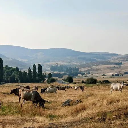 펜션 De La Esmeralda