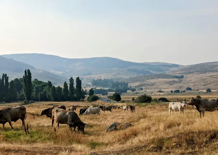 度假居 De La Esmeralda